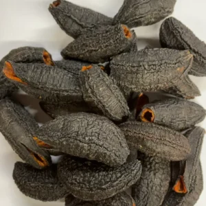 Dried Canadian Sea Cucumber