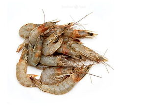 Small Prawns