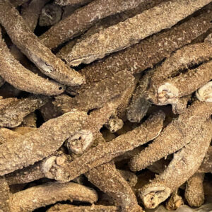 Dried Sea Cucumber