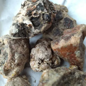 Whale Vomit Ambergris