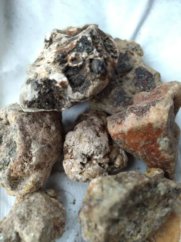 Whale Vomit Ambergris