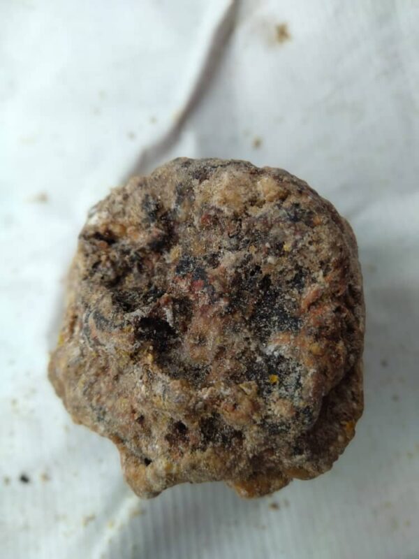 Original Natural Whale Vomit Ambergris