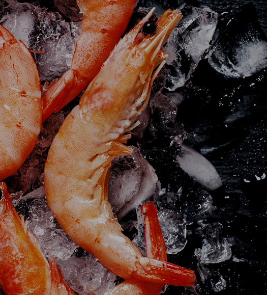 Global Seafood & Aquatic Products Wholesale