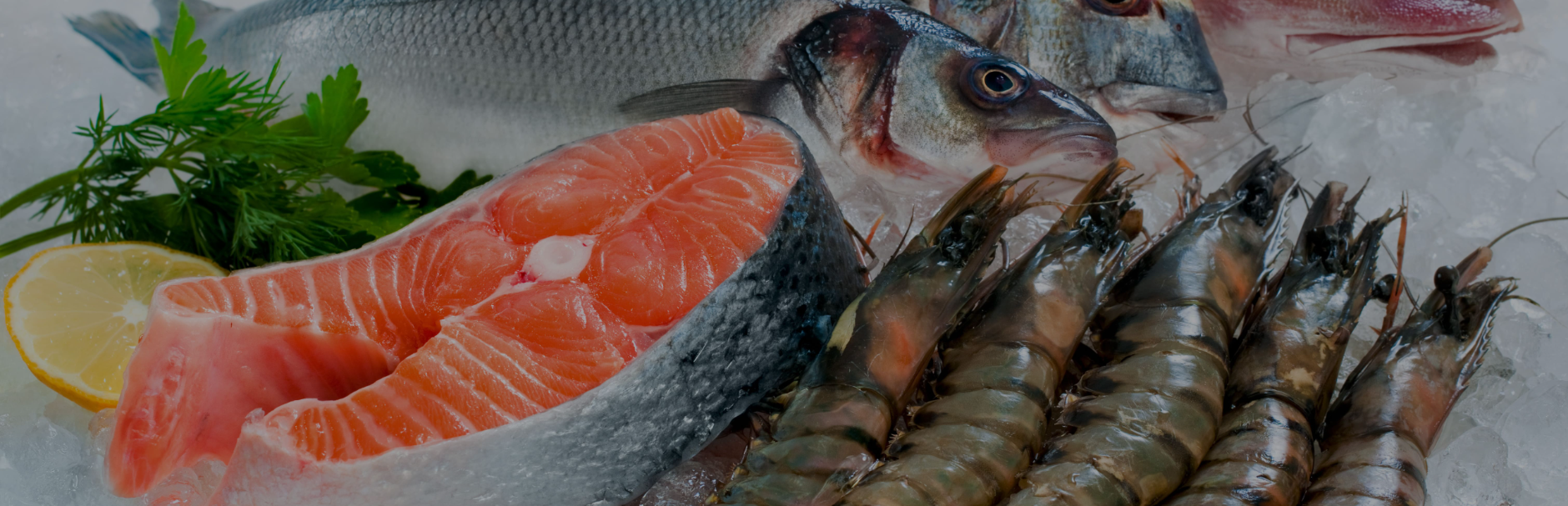 Premium Seafood Suppliers Worldwide