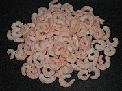 Coldwater Shrimp