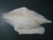 Catfish