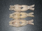 Frog Legs