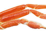 Snow Crab
