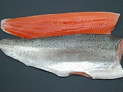 Rainbow Trout