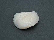 Scallops