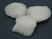 Chinese Scallop