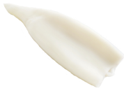 Japanese Flying Squid