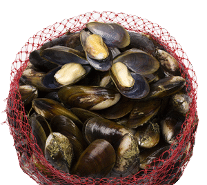 Honey Mussels