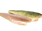 Pickerel