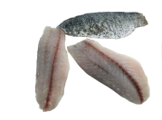 King Barra Barramundi