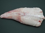 Monkfish