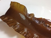 Sugar Kelp / Kombu