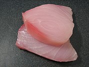 Marlin