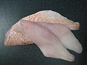 Ocean Perch