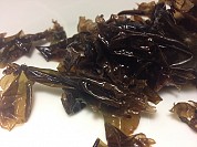 Nori