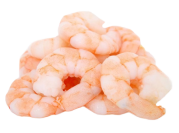 Salad Shrimp