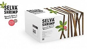 Selva Shrimp Black Tiger