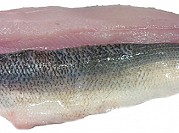 Whitefish