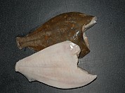 Plaice