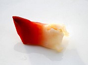 Clam Hokkigai