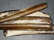 Clam Razor