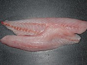 Pacific Snapper