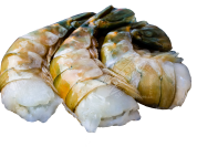Green Tiger Shrimp