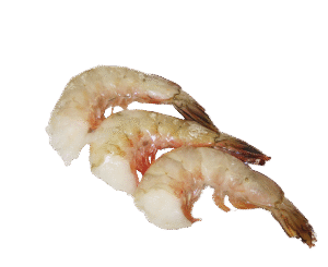 Wild USA Gulf Shrimp