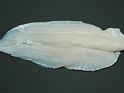 Basa