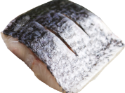 Australis Barramundi
