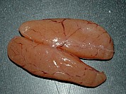 Cod / Haddock Roe