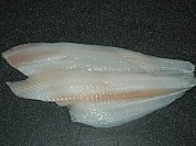 Yellowfin Sole