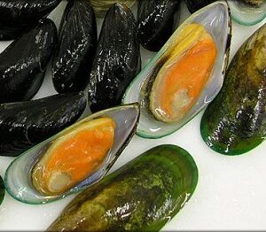 Mussel New Zealand