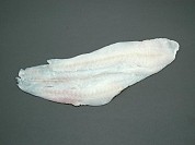 Rock Sole
