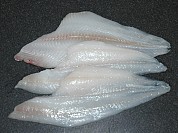 English Sole