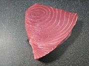 Bluefin Tuna