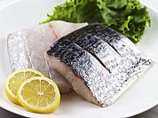 Barramundi