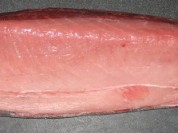 Albacore Tuna