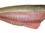 Tile Fish