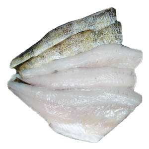 Yellow Perch