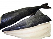 Black Cod
