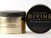 Northern Divine Caviar