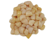 Bay Scallop