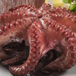 Whole Octopus